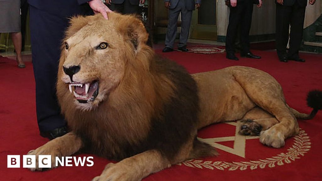 Bill to ban trophy hunting imports back in Commons