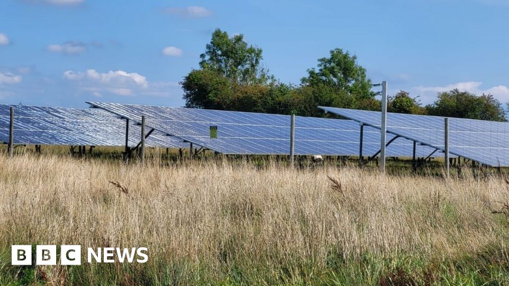 Renewable energy: Minister blocks solar farms on Gwent Levels
