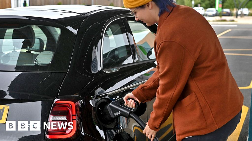 Warning petrol ban delay may hit electric car sales