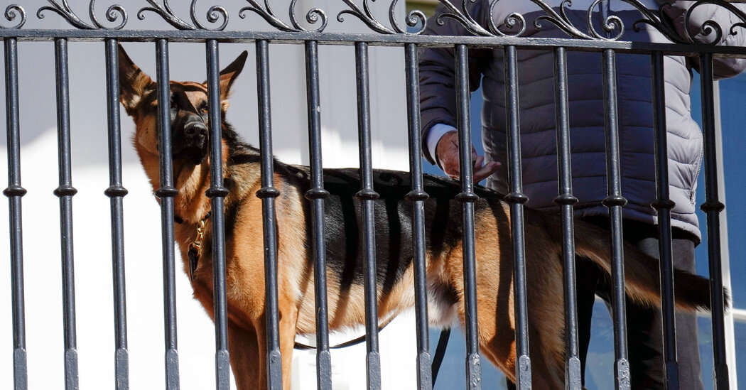 Biden’s Dog Bites Another Secret Service Officer