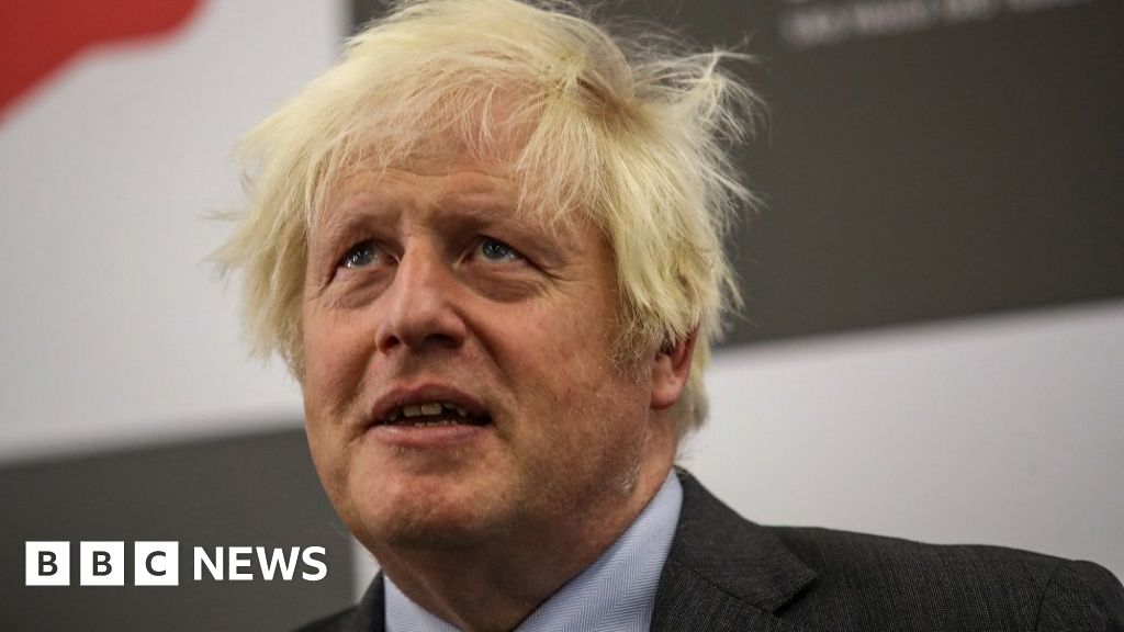 Boris Johnson thought old people should accept Covid fate, inquiry told