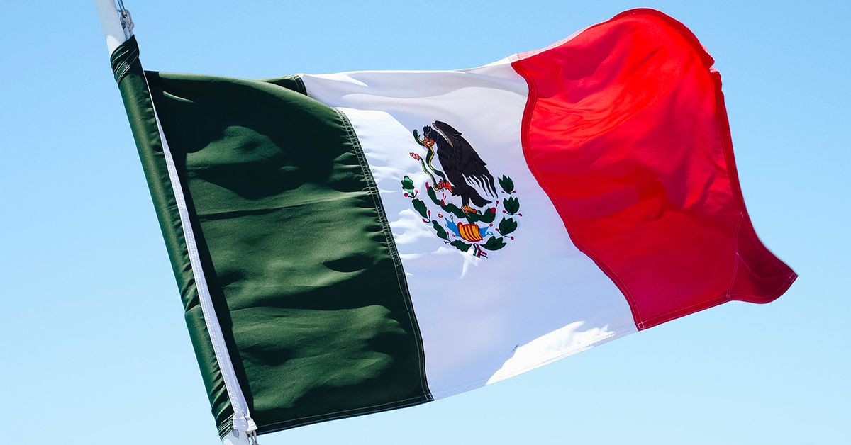 Blockchain Startup Etherfuse Rolls Out Tokenized Bonds in Mexico Targeting Retail Investors