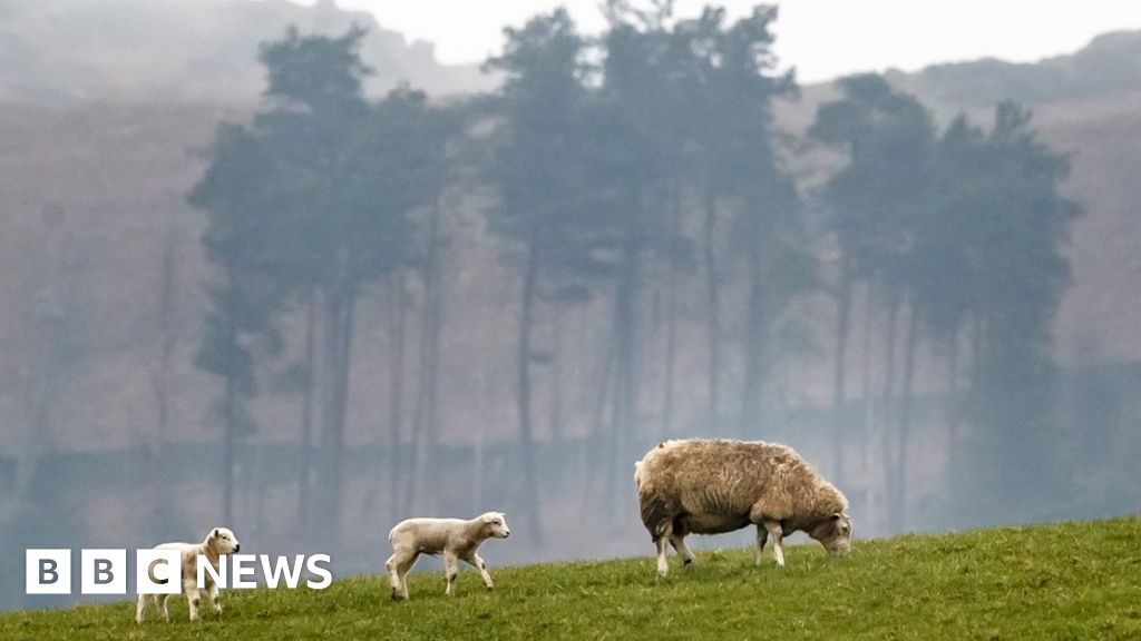 Labour promises new respect for countryside concerns