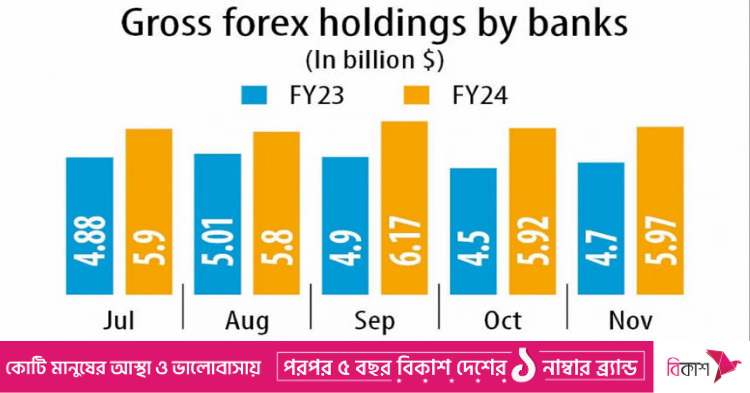 Forex holdings in banks increase