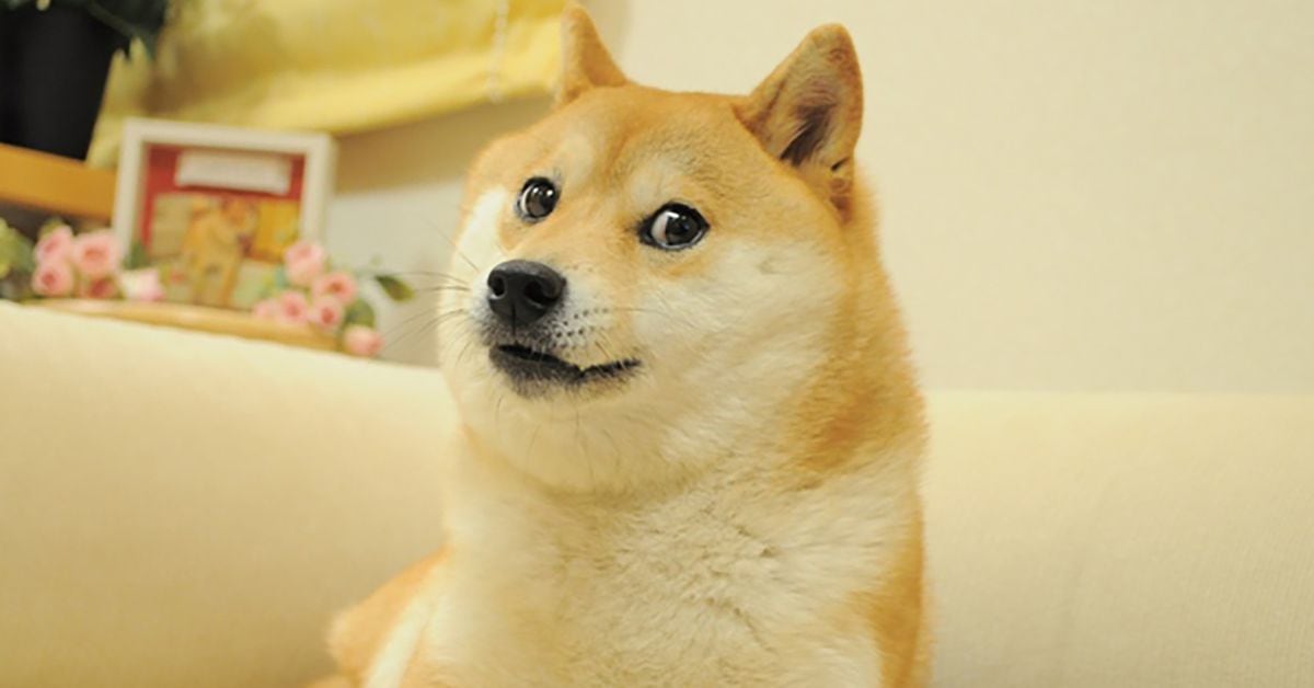 Is it Late 2020 All Over Again for Dogecoin?