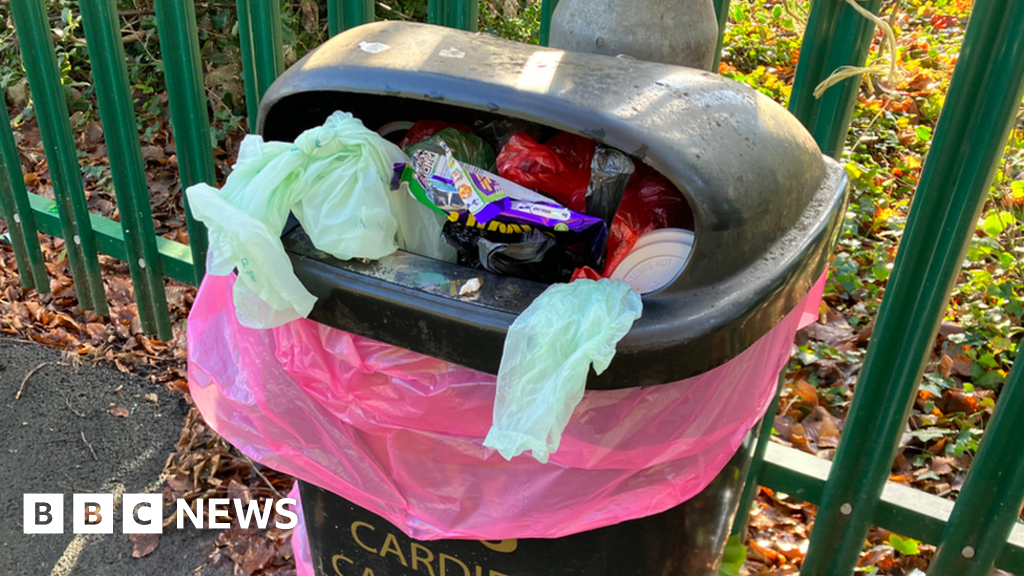 Cardiff: Bins could be removed from residential streets