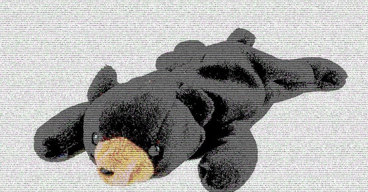 Coinbase vs. the SEC Debates the Difference Between Beanie Babies and Securities