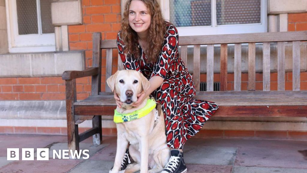 Guide dogs: Government plans to stop businesses refusing access