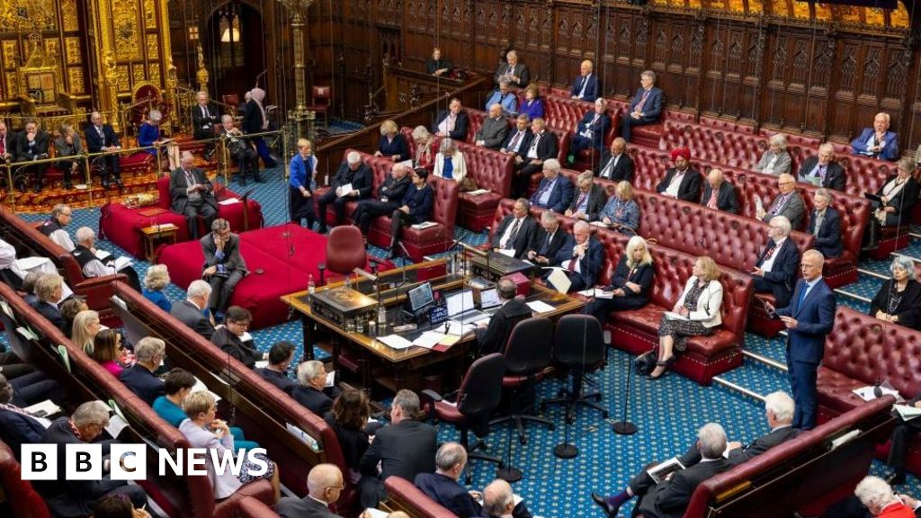 Peers to get up to £100 a night for hotel stays