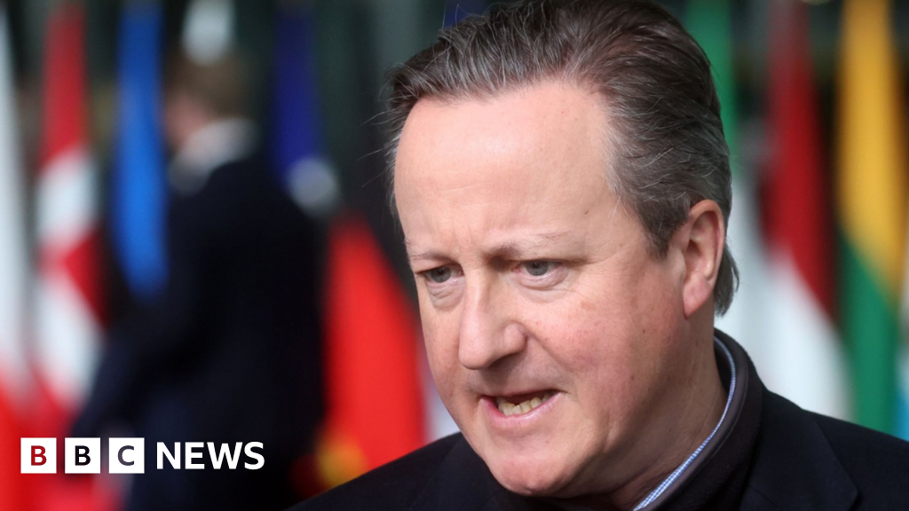 No boots on the ground in Ukraine, says Cameron