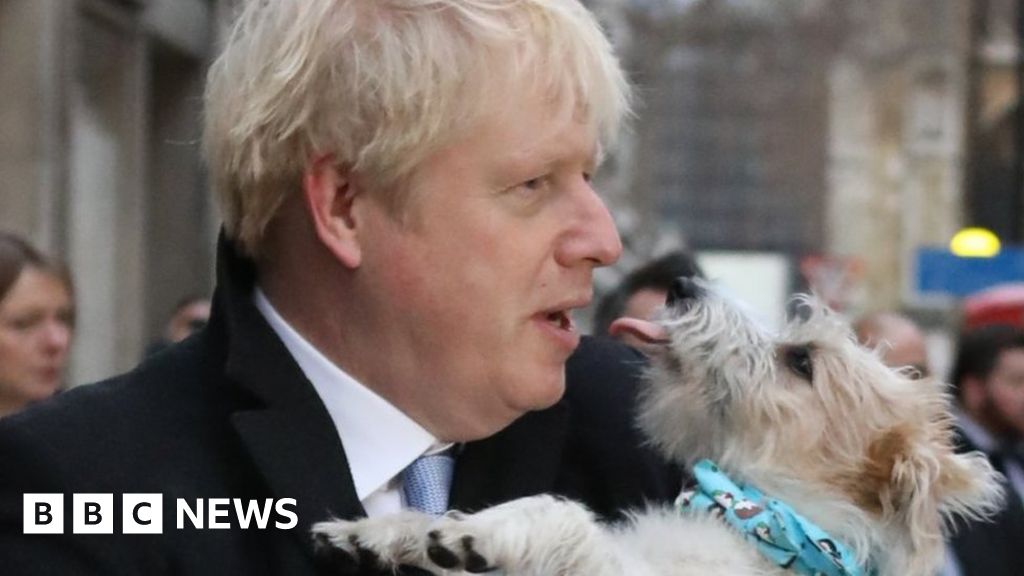 New carpets got rid of Downing Street fleas – Hunt