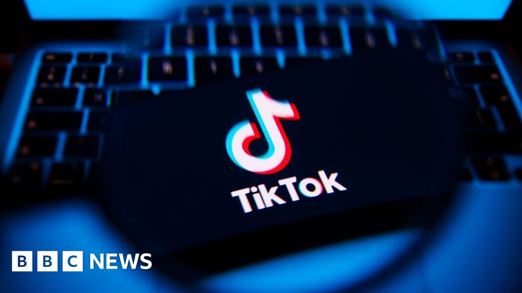 Government should counter misinformation on TikTok – MPs
