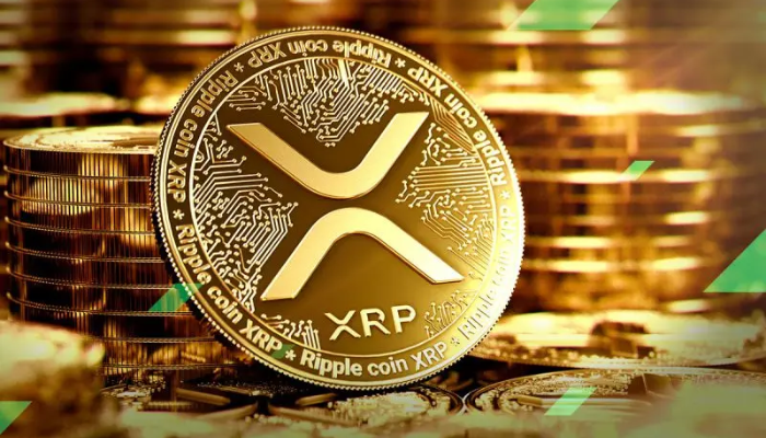 Are the Whales Moving on XRP? – Forex News by FX Leaders – FX Leaders