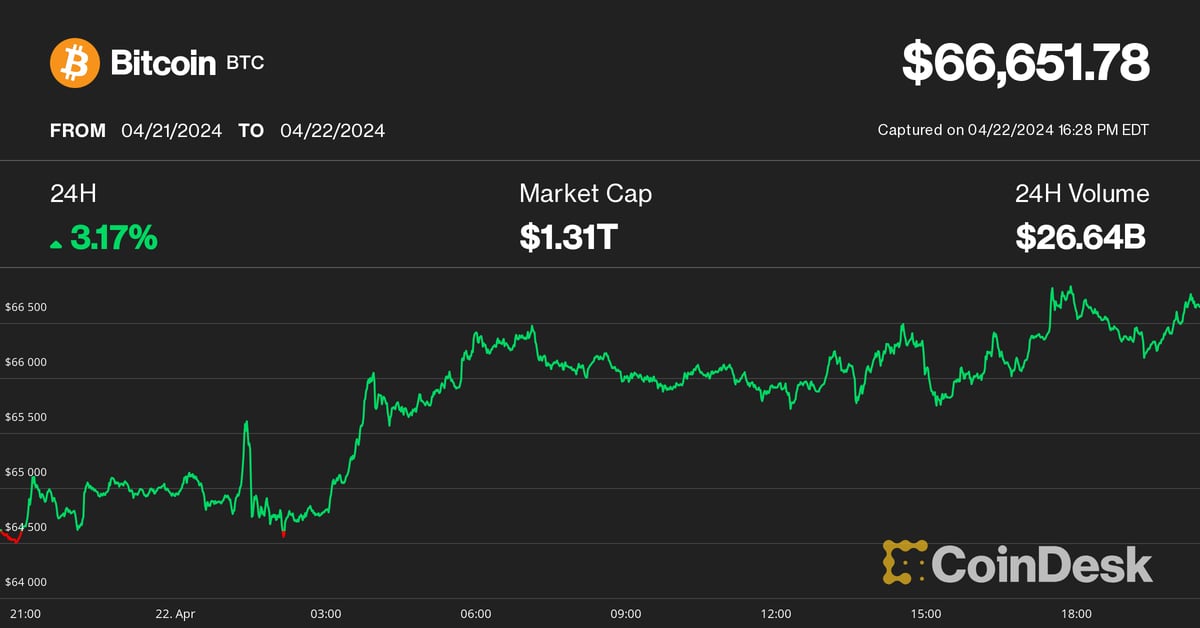 Bitcoin (BTC) Price Eyes $67K as Crypto Stocks RIOT, HUT Bounce Nearly 20%