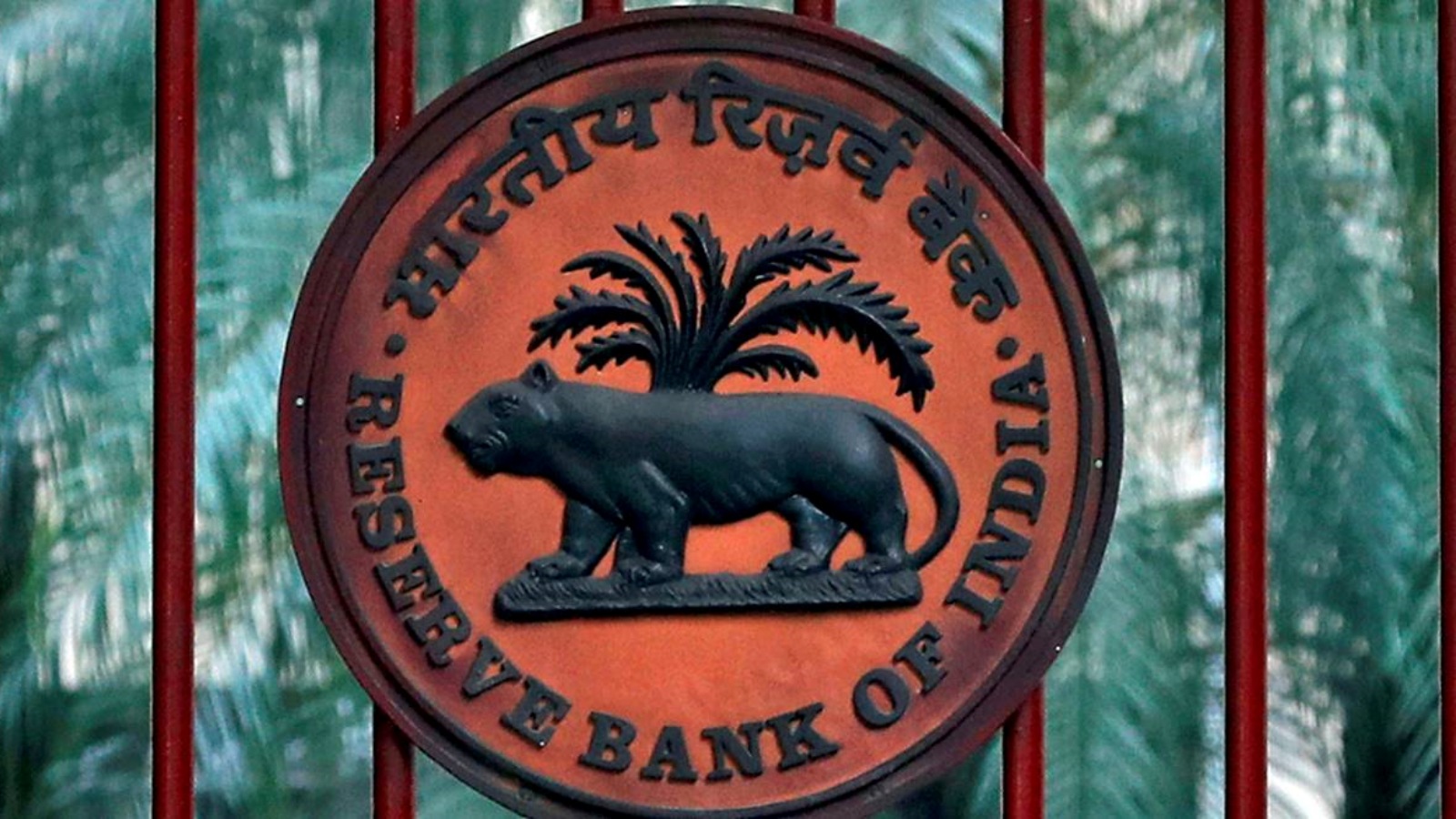 Illegal forex trading: RBI cautions banks, customers | Business News