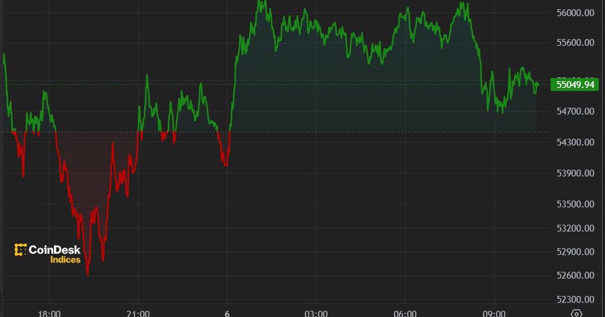 Crypto Rebounds From Monday’s Chaos