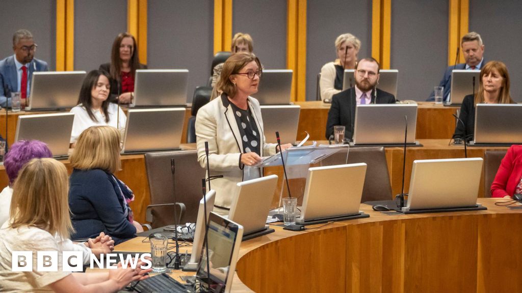 Politicians who break rules could lose seats in Welsh Parliament