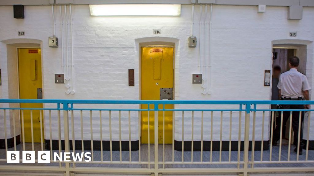 Reoffending prisoner was let out by mistake, BBC told
