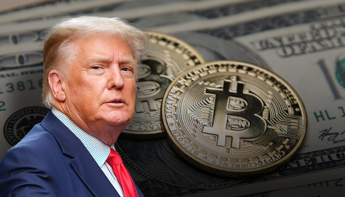 What Happened to Trump’s Crypto Scheme after It Launched? What Happened to Trump’s Crypto Scheme after It Launched?