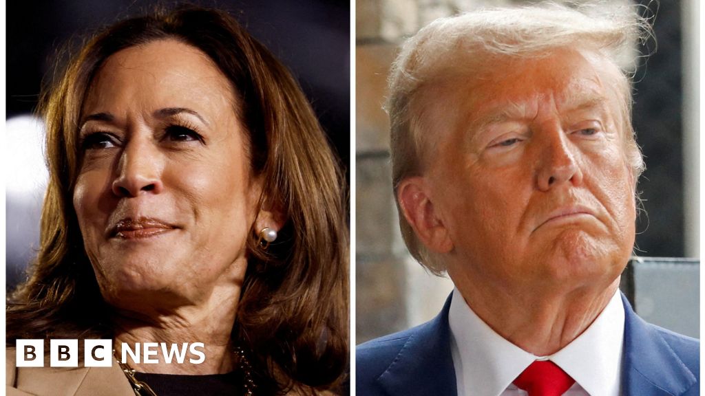 Keir Starmer unlikely to meet Kamala Harris before US election