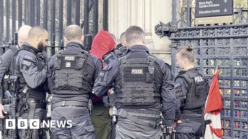Man arrested over knife incident outside Parliament Man arrested over knife incident outside Parliament