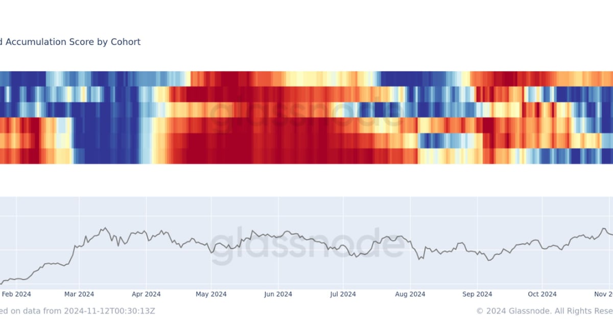 Which Cohorts Have Been Buying and Selling this Bitcoin Rally?