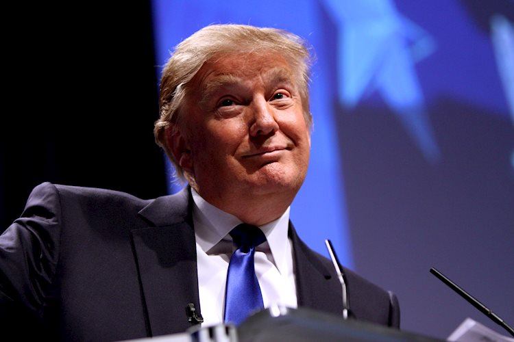 US Dollar rallies as Donald Trump remains on track to win presidency
