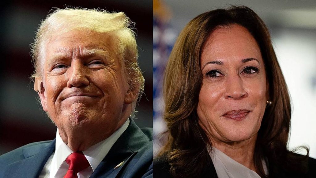 Trump and Harris Have Common Ground on Crypto