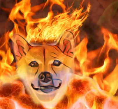DOGE Crash:Trump Tariffs Kills Risk Appetite