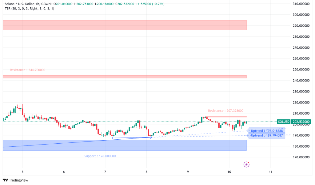 Solana’s 30% Correction Sets Stage for Potential 91% Rally to $387?
