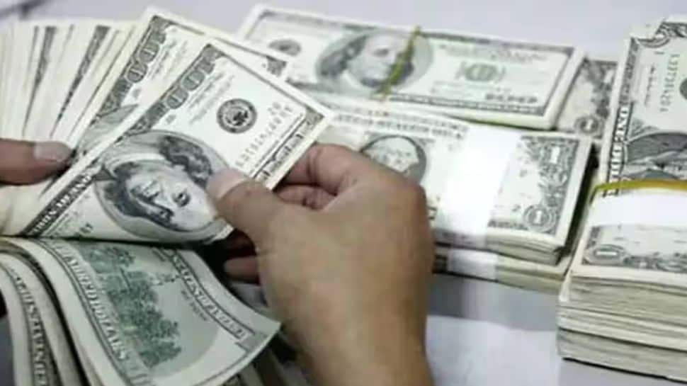 India’s Forex Reserves See Sharpest Rise In 2 years | Economy News