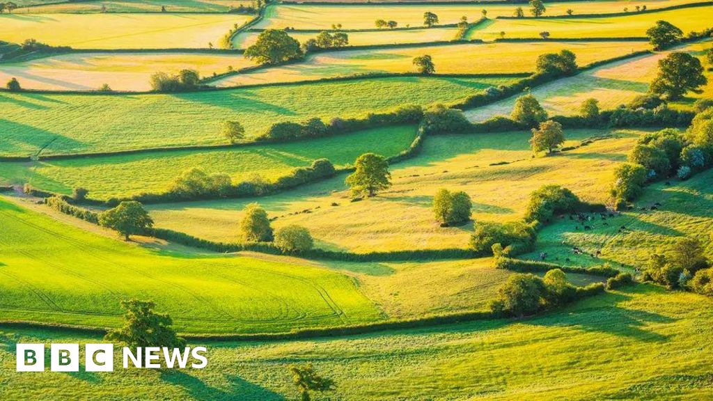 Environmental scheme closure a ‘shattering blow’ to farmers Environmental scheme closure a ‘shattering blow’ to farmers