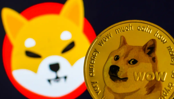 DOGE no longer Barking again