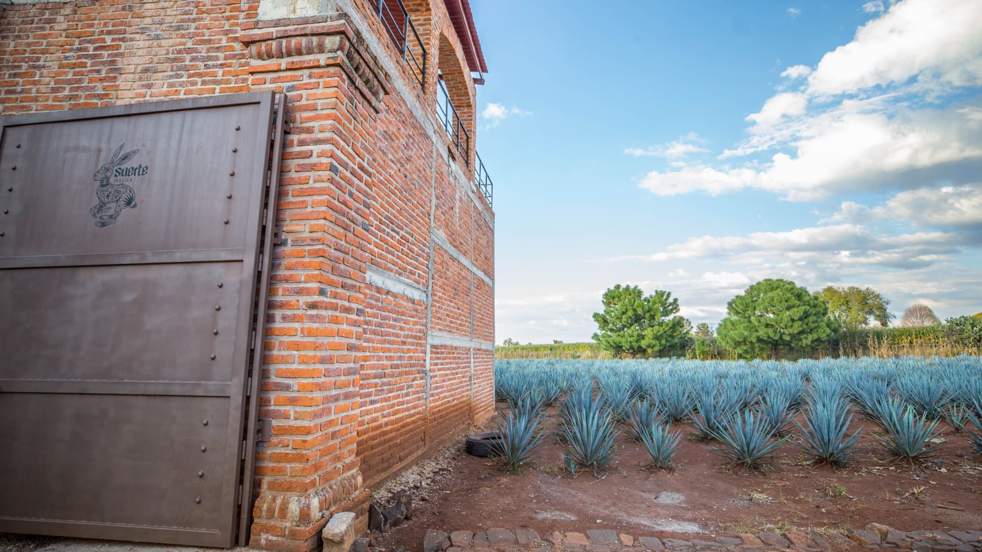 Tequila maker says tariffs won’t affect prices. Here’s why