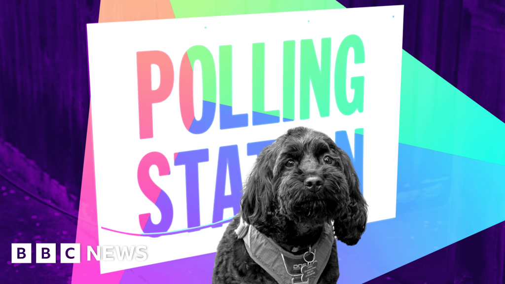 A wildly unpredictable local elections