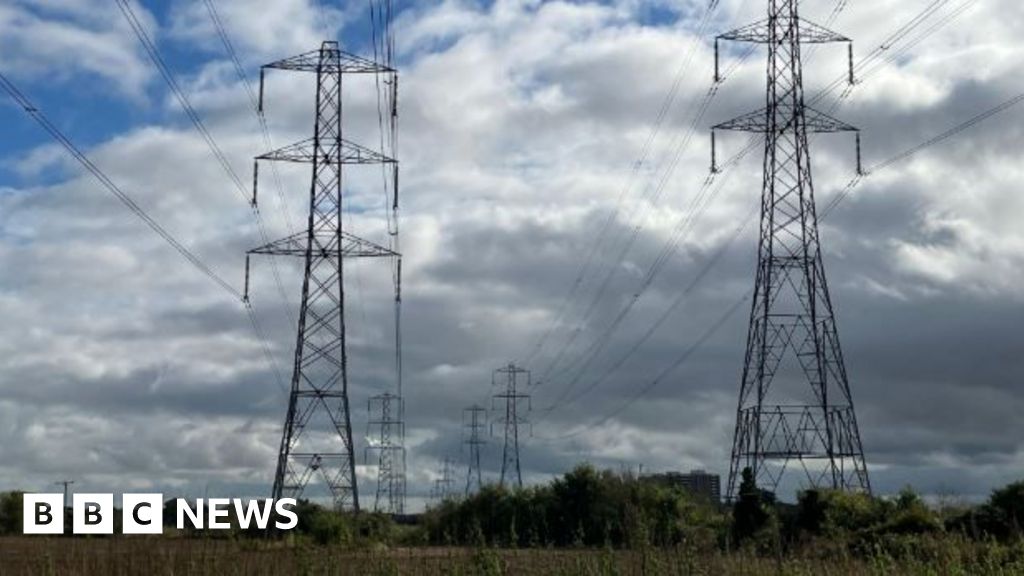 Pylons ‘cheapest option’ – independent report.