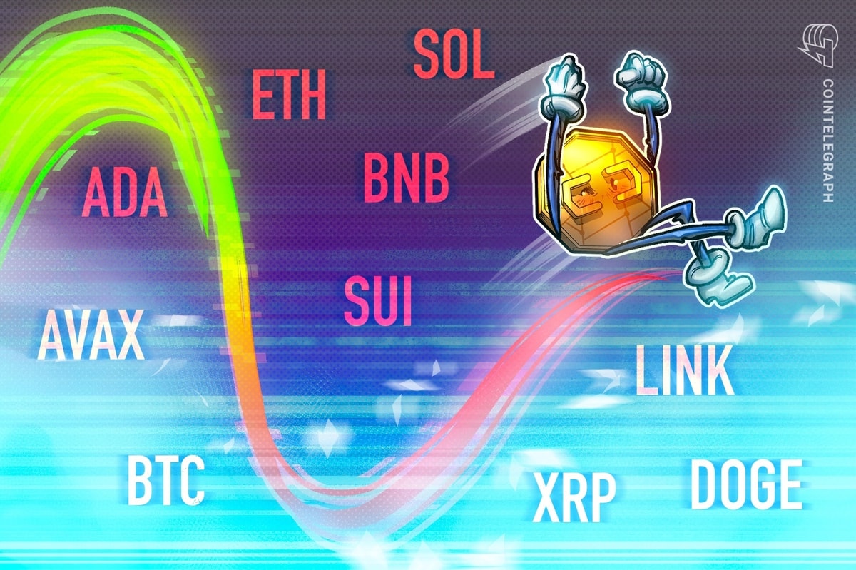 BTC, ETH, XRP, BNB, SOL, DOGE, ADA, SUI, LINK, AVAX