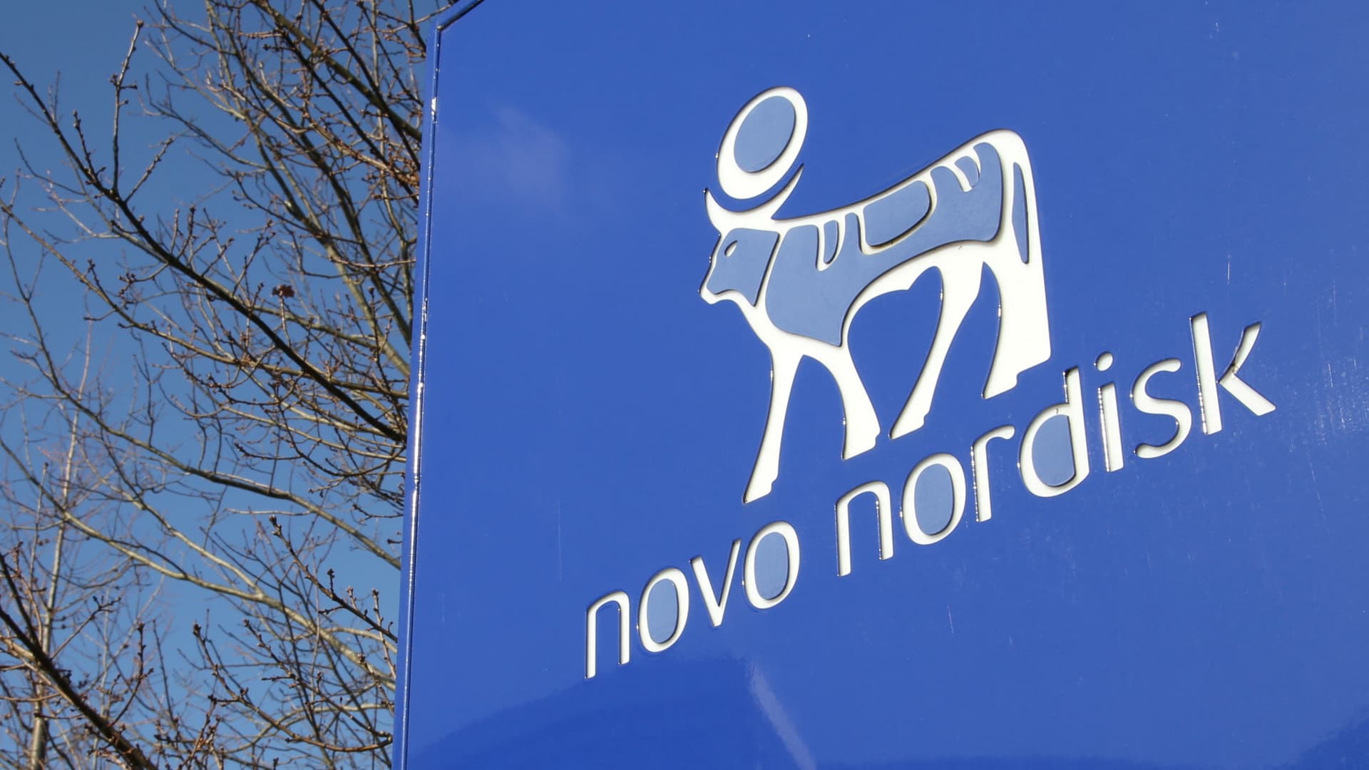 Novo Nordisk bets on new CEO to regain weight loss drug edge over Eli Lilly