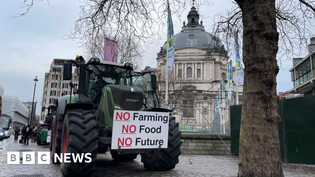 MPs call for year-long delay to proposals