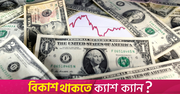 Forex reserves stays above $20b after $1.88b ACU payment